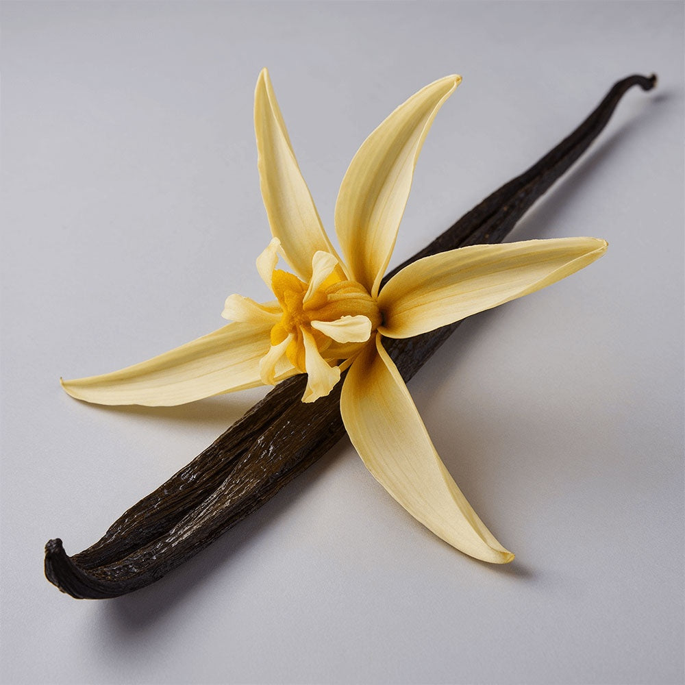 Ancestral Barrier Balm with Vanilla Bean.