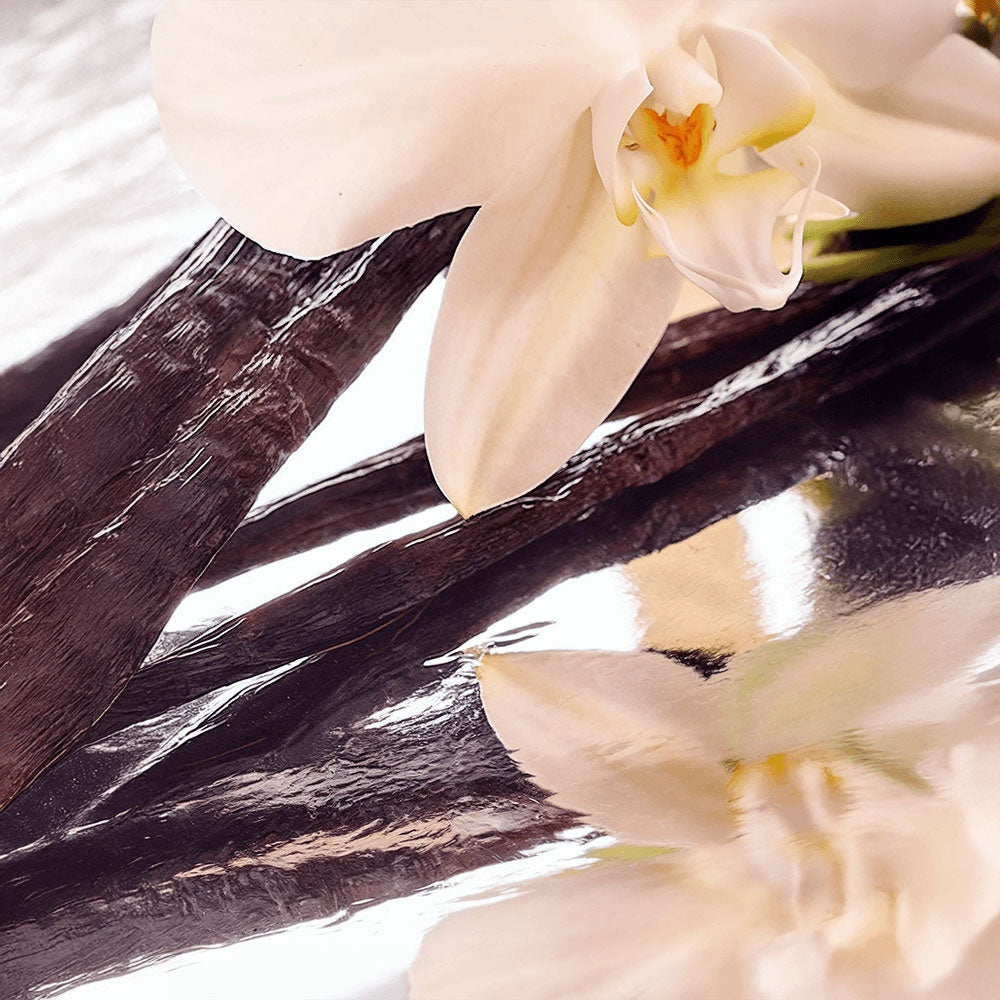 Ancestral Barrier Balm with Vanilla Bean.